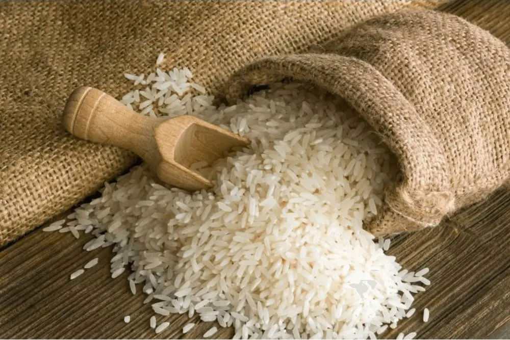 Non basmati rice